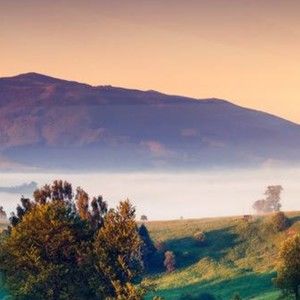 Meet your Posher, Jorja